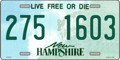 NH license plate 2751603