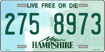 NH license plate 2758973