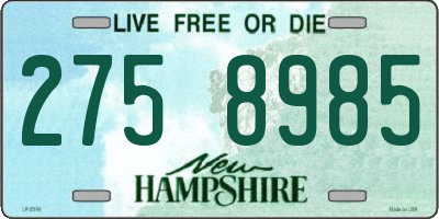 NH license plate 2758985
