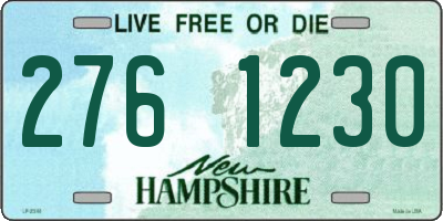 NH license plate 2761230