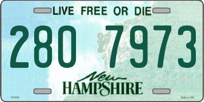 NH license plate 2807973