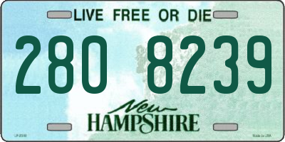 NH license plate 2808239