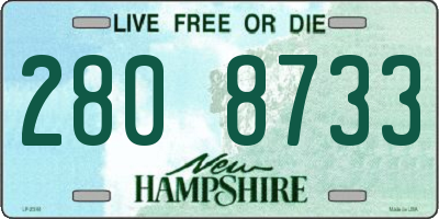 NH license plate 2808733