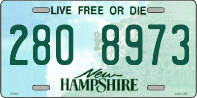 NH license plate 2808973