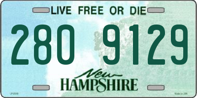 NH license plate 2809129