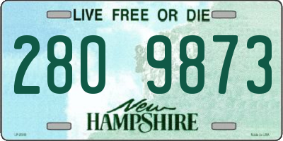 NH license plate 2809873
