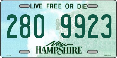 NH license plate 2809923