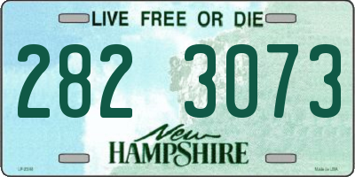 NH license plate 2823073