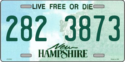 NH license plate 2823873