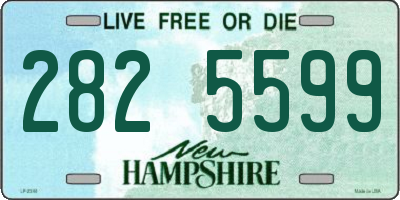 NH license plate 2825599
