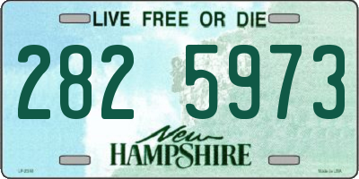 NH license plate 2825973