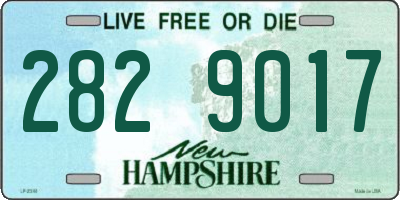 NH license plate 2829017