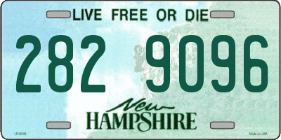 NH license plate 2829096