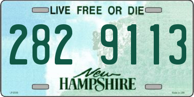 NH license plate 2829113