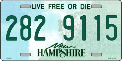 NH license plate 2829115