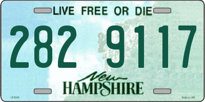 NH license plate 2829117