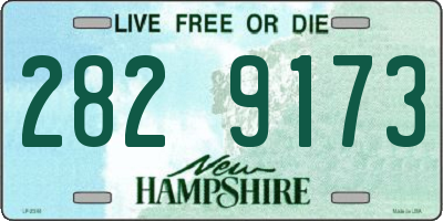 NH license plate 2829173