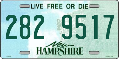 NH license plate 2829517