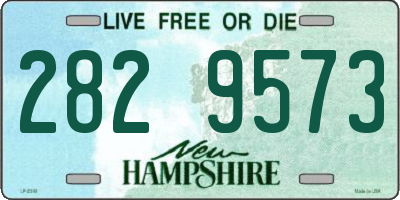 NH license plate 2829573