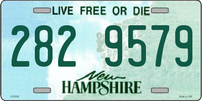 NH license plate 2829579