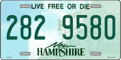 NH license plate 2829580