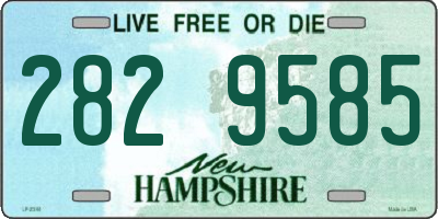 NH license plate 2829585