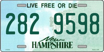 NH license plate 2829598