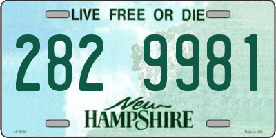 NH license plate 2829981