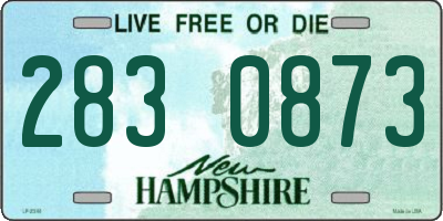 NH license plate 2830873
