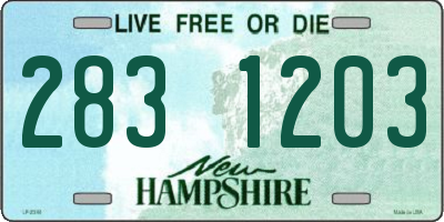 NH license plate 2831203