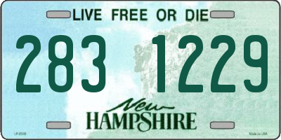 NH license plate 2831229