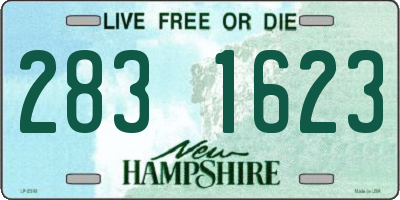 NH license plate 2831623