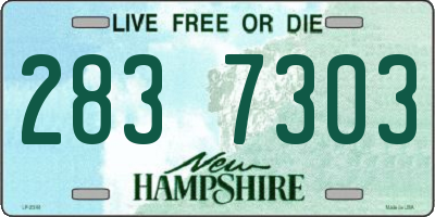 NH license plate 2837303