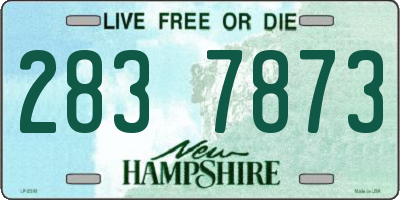 NH license plate 2837873