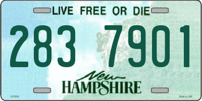 NH license plate 2837901