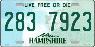 NH license plate 2837923