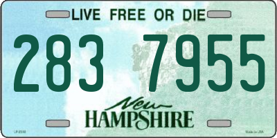 NH license plate 2837955