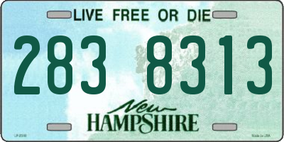 NH license plate 2838313