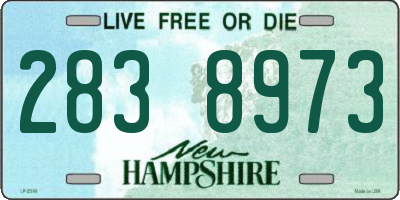 NH license plate 2838973