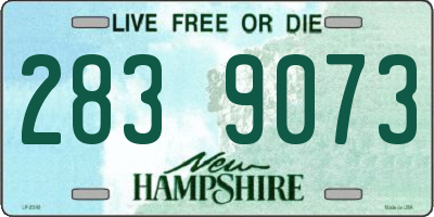 NH license plate 2839073