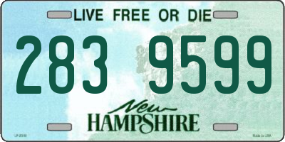 NH license plate 2839599