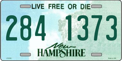 NH license plate 2841373