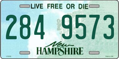 NH license plate 2849573