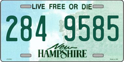NH license plate 2849585