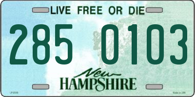 NH license plate 2850103