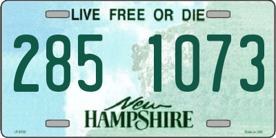 NH license plate 2851073