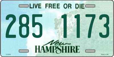 NH license plate 2851173