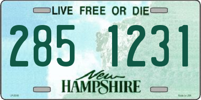 NH license plate 2851231