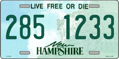 NH license plate 2851233