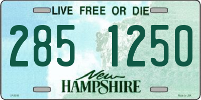 NH license plate 2851250